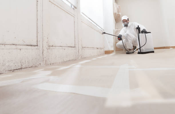 24/7 Emergency Basement Mold Remediation experts in Caldwell, TX