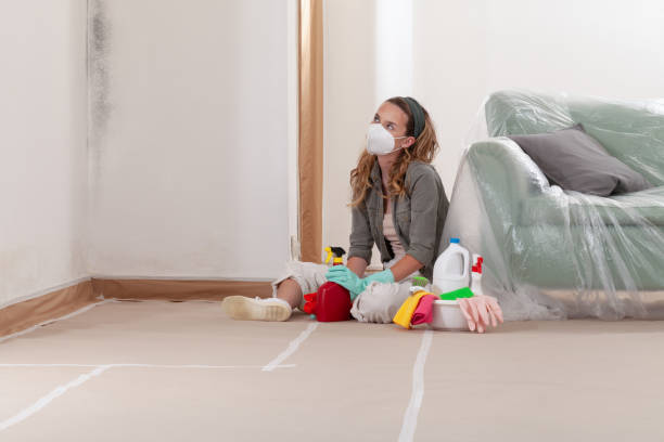 Reliable Basement Mold Remediation contractor in Caldwell, TX by 24 Hour Mold Removal